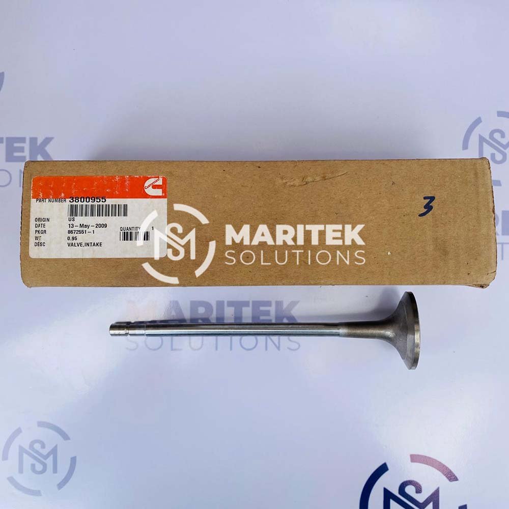 Cummins 3800955 Intake Valve