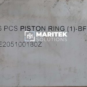 Daihatsu E205100080Z Piston ring