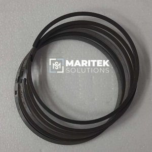 Daihatsu E205100080Z Piston ring