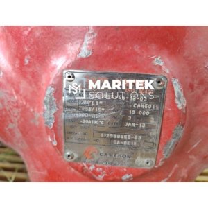 Cameron FLS Gate valve