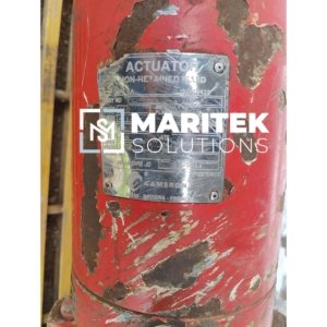 Cameron FLS Gate valve