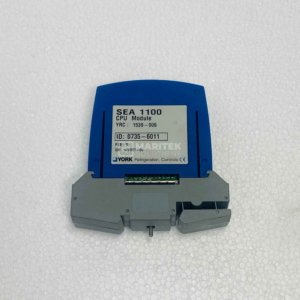 York SEA 1100 CPU module (1539-006)