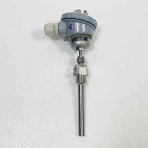 Radix Electrosystems Pt100 3-wire RTD temperature sensor