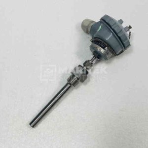 Radix Electrosystems Pt100 3-wire RTD temperature sensor