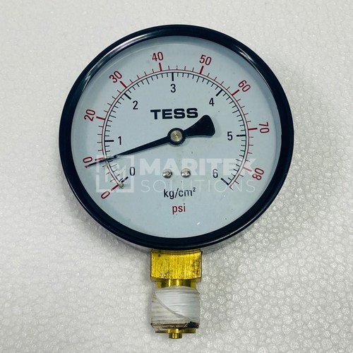 TESS Dual-scale analog pressure gauge (0 to 6 kg-cm2)